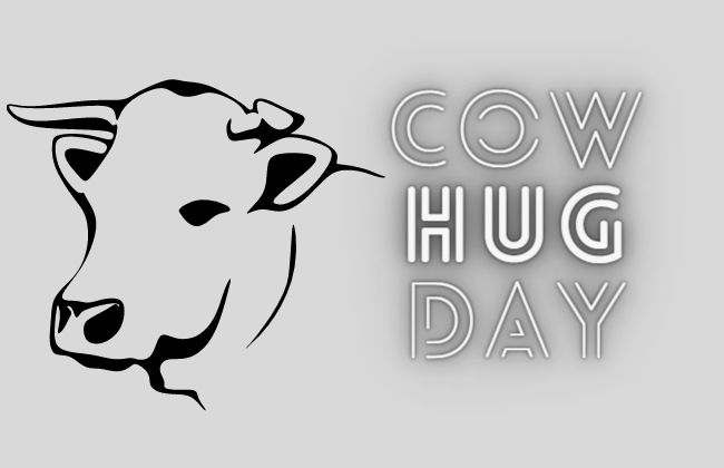 cow hug day in hindi